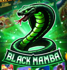 Black Mamba game icon